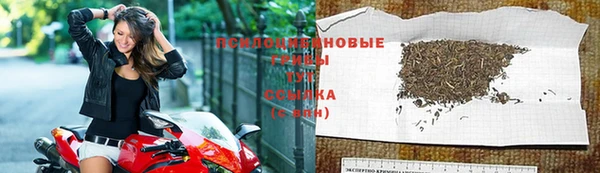 гидропоника Белокуриха