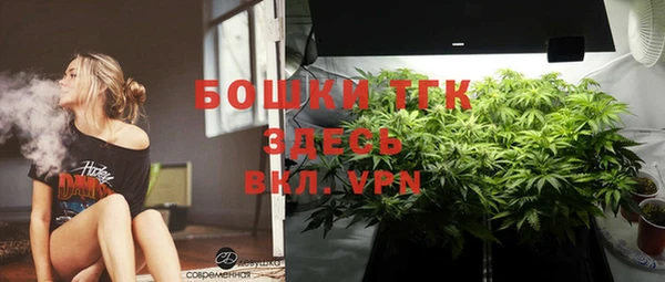 гидропоника Белокуриха
